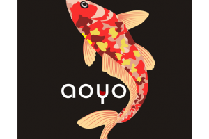 傲鱼(aoyo)logo