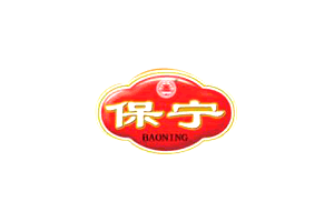 保宁logo