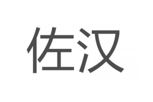 佐汉(ZOHAN)logo