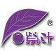 紫叶logo
