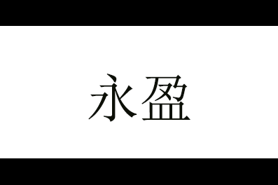 永盈logo
