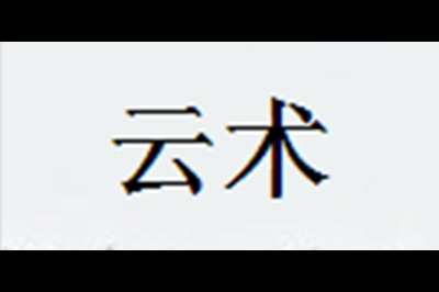 云术logo