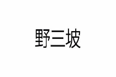 野三坡logo