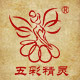 五彩精灵logo
