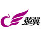腾翼logo