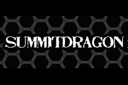天脉傲龙( summitdragon)logo