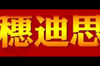 穗迪思logo