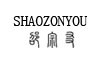 邵宗友(SHAOZONGYOU)logo