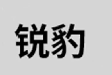 锐豹(RAYBOW)logo