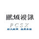 鹏城视讯logo