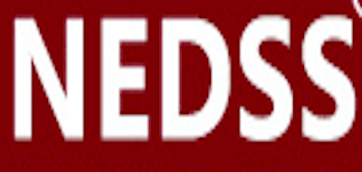 耐达斯(NEDSS)logo