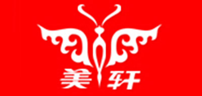 美轩车品logo
