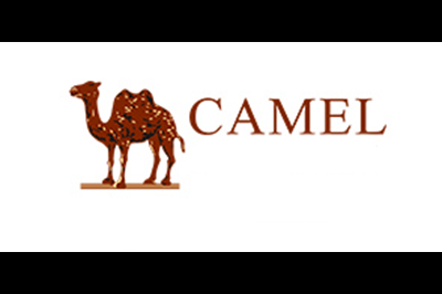骆驼男鞋logo