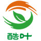 酷叶logo