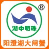 湖中明珠logo