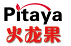 火龙果logo