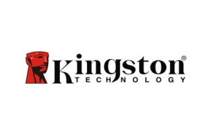 金士顿(Kingston)logo