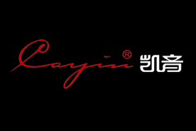 凯音(Cayin)logo