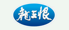 龙王恨logo