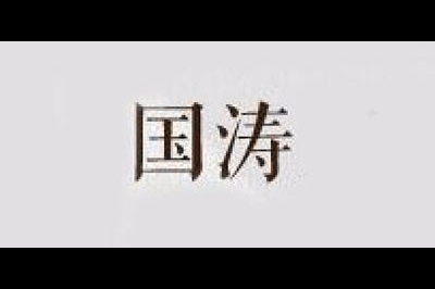 国涛logo