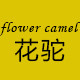 flowercamel