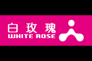 白玫瑰(WHITE ROSE)