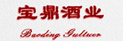 深蓝伏特加(SKYY VODKA)logo