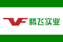 腾飞logo