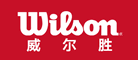 威尔胜logo