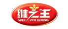 维之王logo