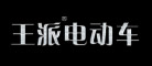 王派logo