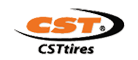 正新(CST)logo